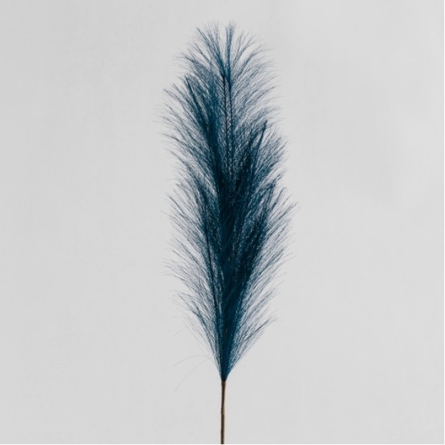 Floare decorativa miscantir