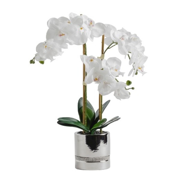 Compozitie florala orchbonita