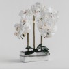 Floare decorativa orchianum diam