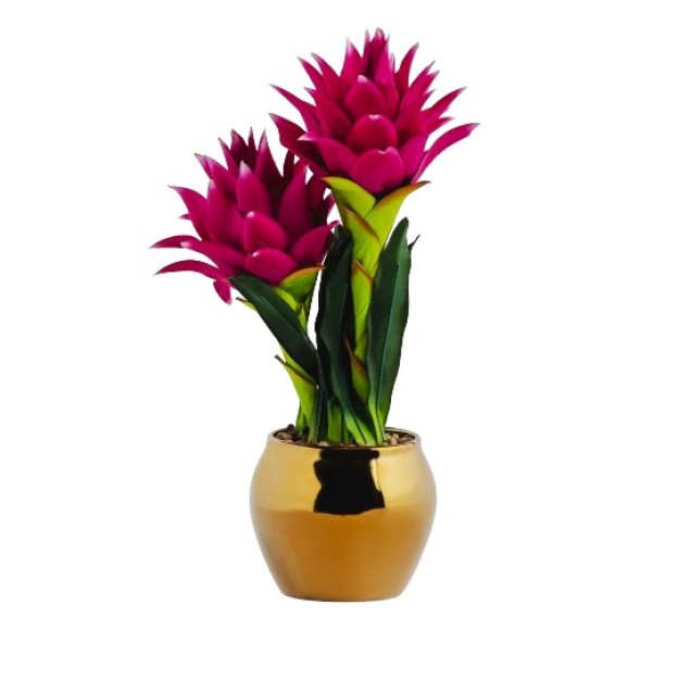 Floare decorativa guzmania