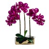 Compozitie florala orchianum2