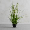 Compozitie florala BORLA