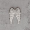 Magnet Wings