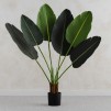 Floare decorativa banananis
