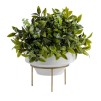 Floare decorativa katy