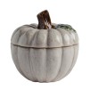 Container pumpkini