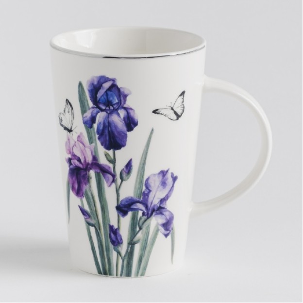 Cana florallsoli
