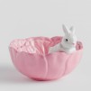 Bol bunnyflower