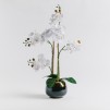 Compozitie florala ORCHIELEGANT