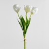 Floare decorativa tulipanes