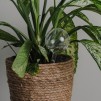 Dispozitiv pentru udat plantele ball