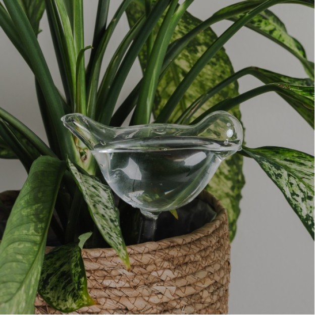 Dispozitiv pentru udat plantele bird