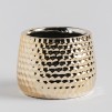 Ghiveci fraga gold