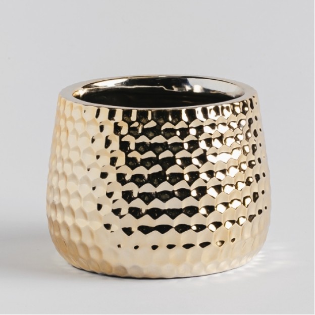 Ghiveci fraga gold
