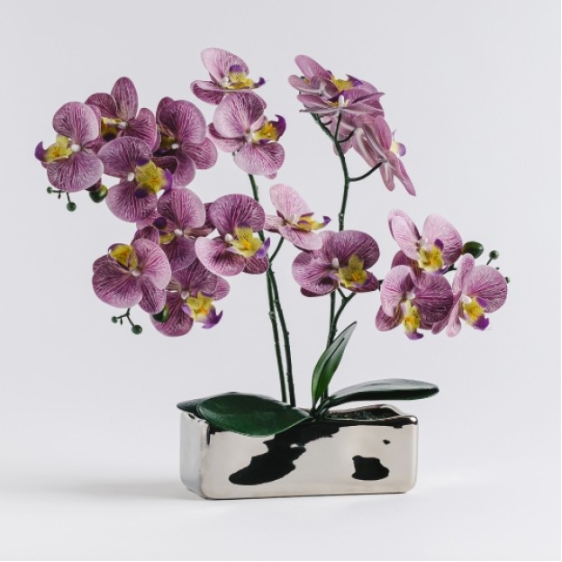 Floare decorativa orchianum