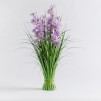 Floare decorativa tasonis