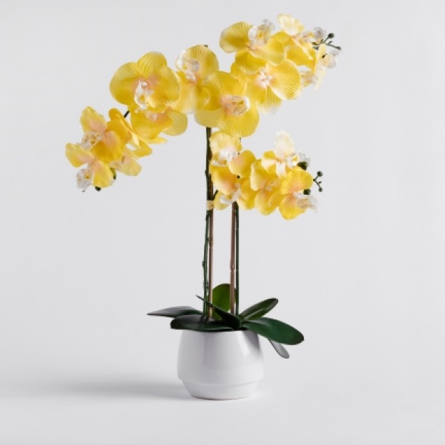 Compozitie florala orchisun