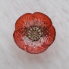 Bol petalis