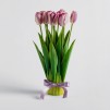 Floare decorativa tulip