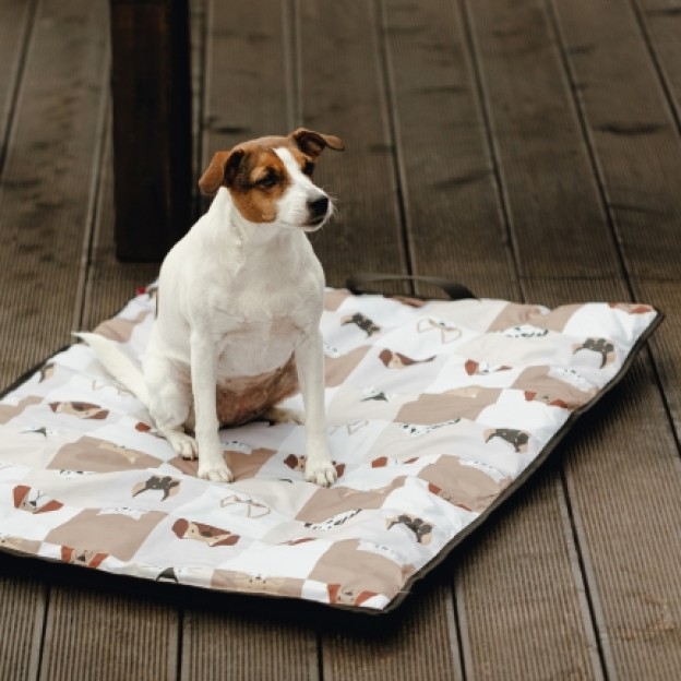 Asternut pentru animale petart togo