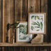 Decoratiune JUNGLORES
