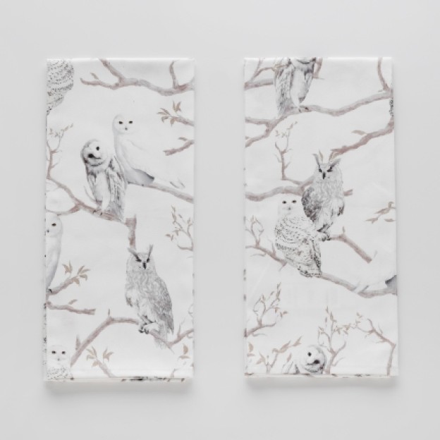 Set prosoape bucatarie OWLS