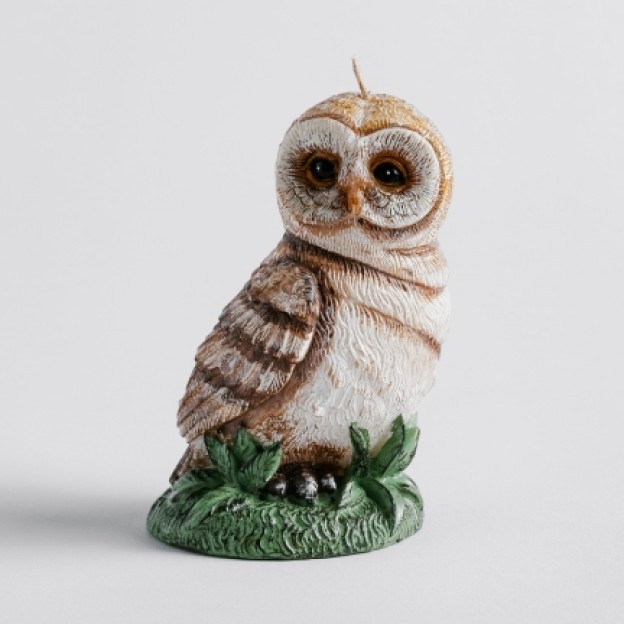 Lumanare vilder owl