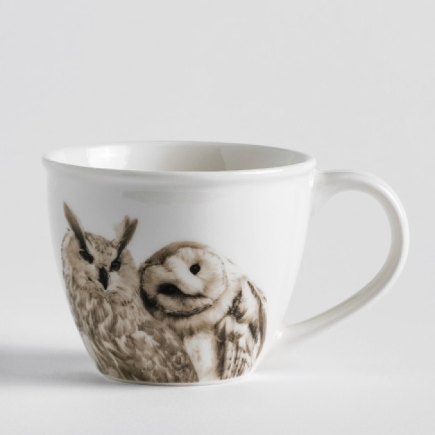 Cana owls