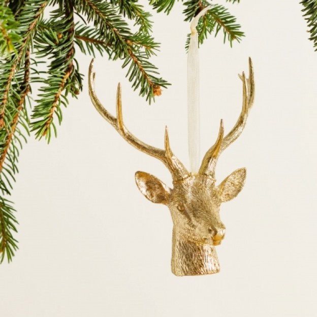Glob brad xdeer