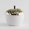Container acorns