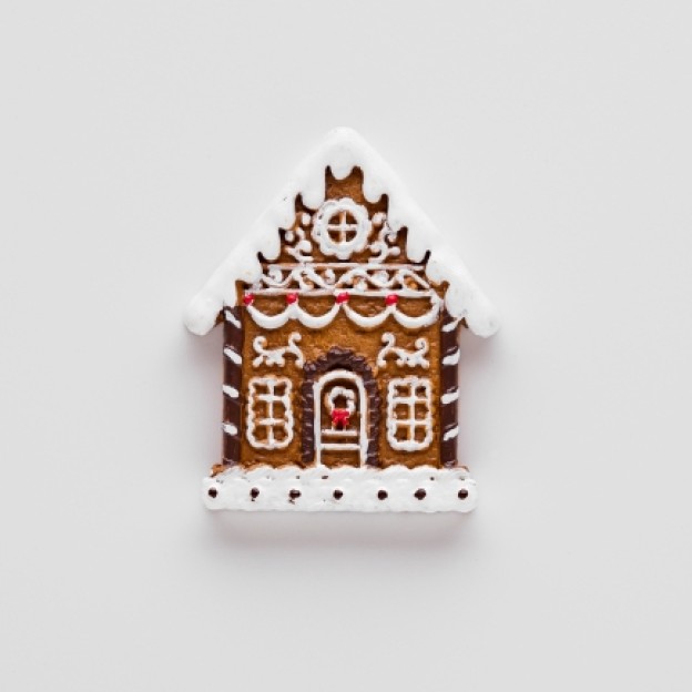 Magnet gingercasa