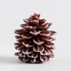 Lumanare snowycone