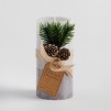 Lumanare winterosa pinee