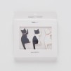 Set magneti catero