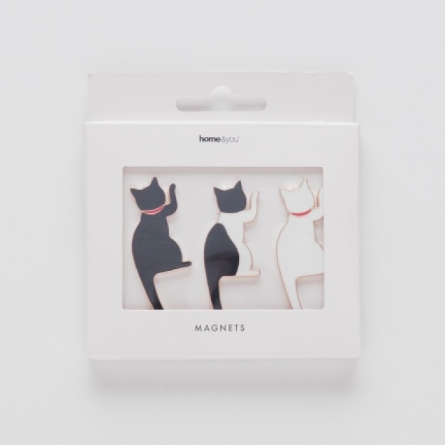 Set magneti catero