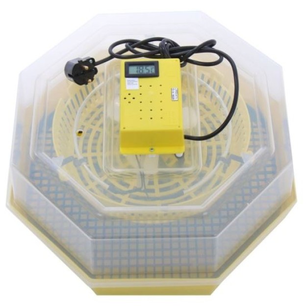 Incubator electric (clocitoare) oua cu termometru Cleo 5T, 230 V, 60 oua capacitate, 38°C temperatura incubare